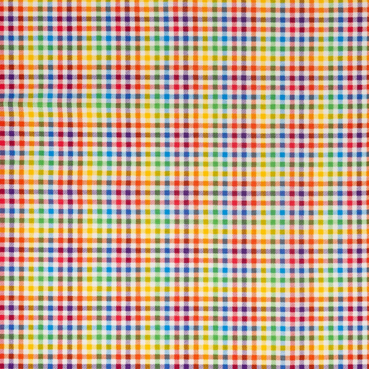 SINGER Rainbow Gingham Check Cotton Fabric